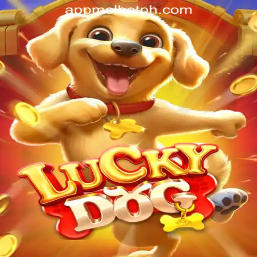 Discover LuckyDog: An Engaging Casino Experience with MelBet Online Casino Philippines